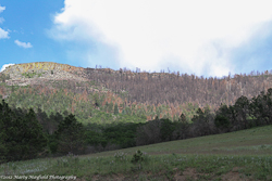 Lake Maloya 2012 Recovery